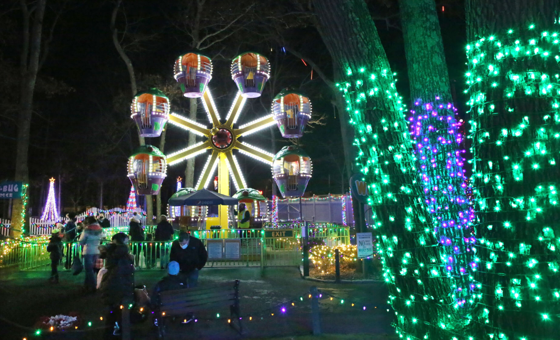 Storybook Land Christmas Fantasy Lights